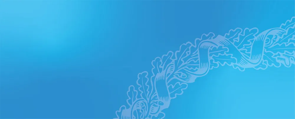 День открытых дверей